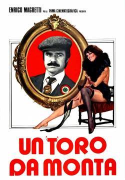 Un toro da monta