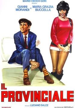 Il provinciale